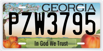 GA license plate PZW3795