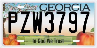 GA license plate PZW3797