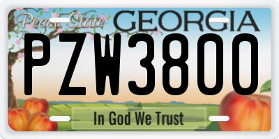 GA license plate PZW3800