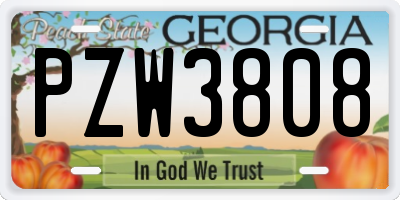 GA license plate PZW3808