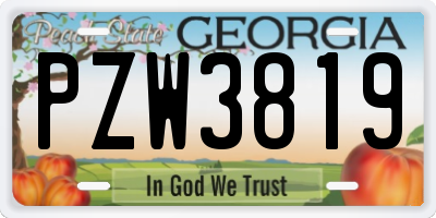 GA license plate PZW3819