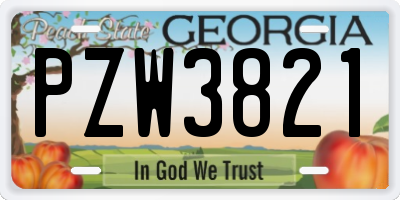 GA license plate PZW3821
