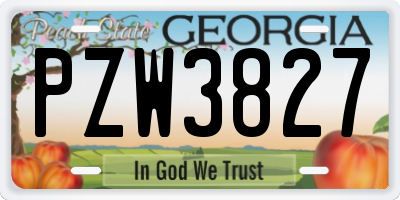 GA license plate PZW3827