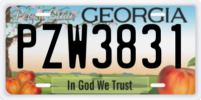 GA license plate PZW3831