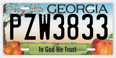 GA license plate PZW3833