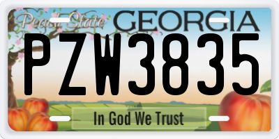 GA license plate PZW3835