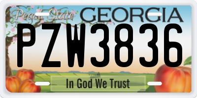 GA license plate PZW3836