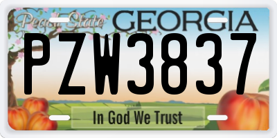 GA license plate PZW3837