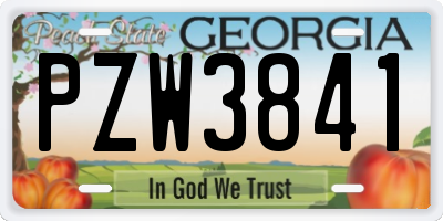 GA license plate PZW3841