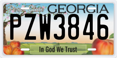 GA license plate PZW3846
