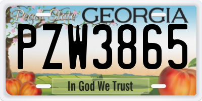 GA license plate PZW3865