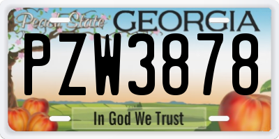 GA license plate PZW3878