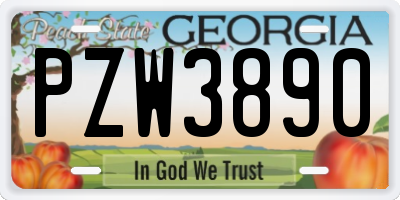 GA license plate PZW3890