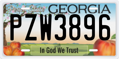 GA license plate PZW3896