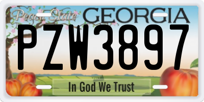 GA license plate PZW3897