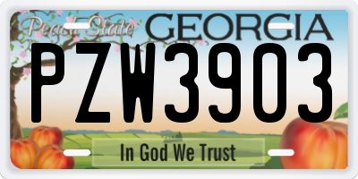 GA license plate PZW3903