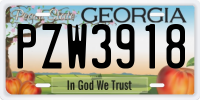 GA license plate PZW3918