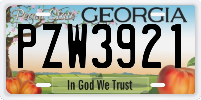 GA license plate PZW3921