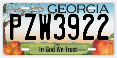 GA license plate PZW3922