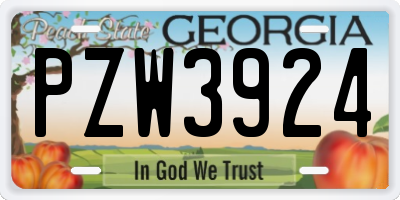 GA license plate PZW3924