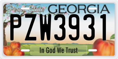 GA license plate PZW3931