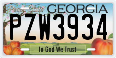 GA license plate PZW3934