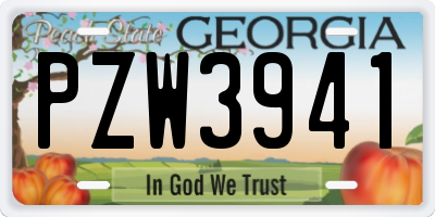 GA license plate PZW3941