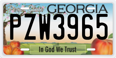 GA license plate PZW3965