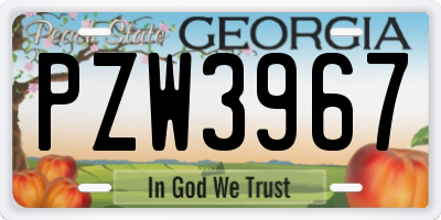 GA license plate PZW3967