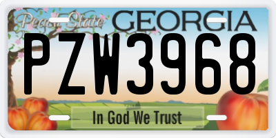 GA license plate PZW3968