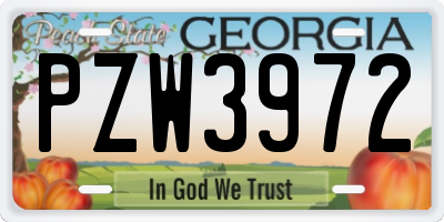 GA license plate PZW3972