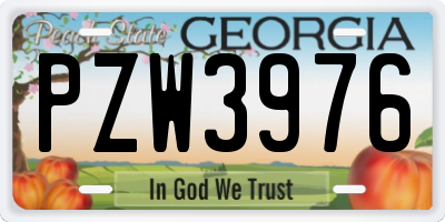 GA license plate PZW3976