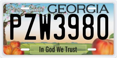 GA license plate PZW3980