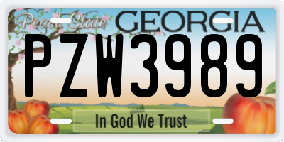 GA license plate PZW3989