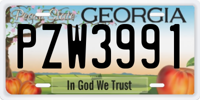 GA license plate PZW3991