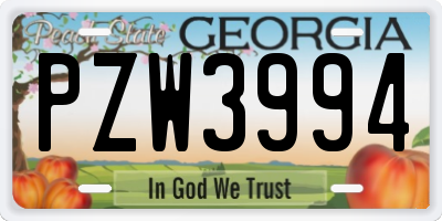 GA license plate PZW3994