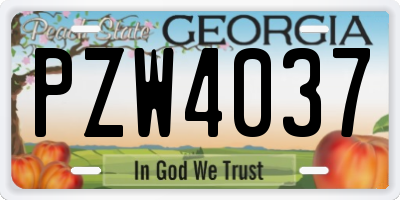 GA license plate PZW4037