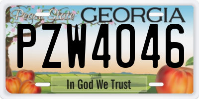 GA license plate PZW4046