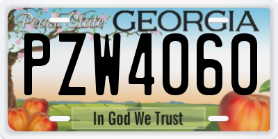 GA license plate PZW4060