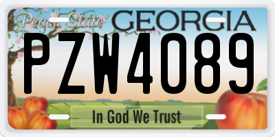 GA license plate PZW4089