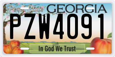 GA license plate PZW4091