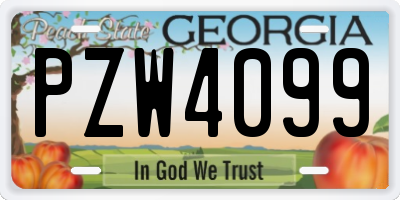 GA license plate PZW4099