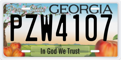 GA license plate PZW4107