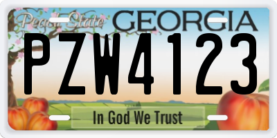 GA license plate PZW4123