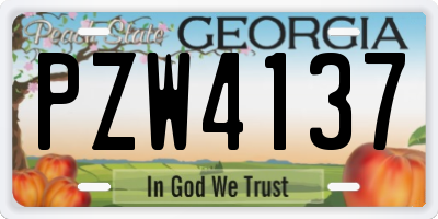 GA license plate PZW4137
