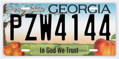 GA license plate PZW4144