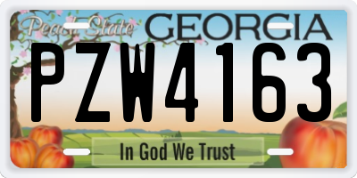 GA license plate PZW4163