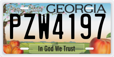 GA license plate PZW4197