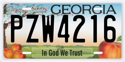 GA license plate PZW4216