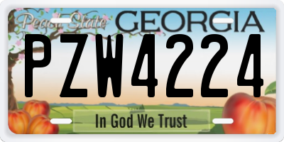 GA license plate PZW4224